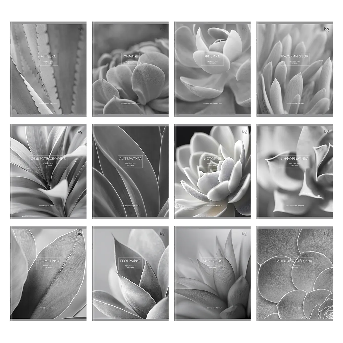 Комплект (12 шт.) предметных тетрадей 48л. BG "Succulents", матовая ламинация
