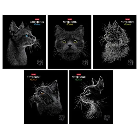 Тетрадь А5, 48 л., HATBER, скоба, клетка, матовая ламинация, 3D-лак, "Black Cat" (микс в спайке), 093159, 48Т5лолВ1