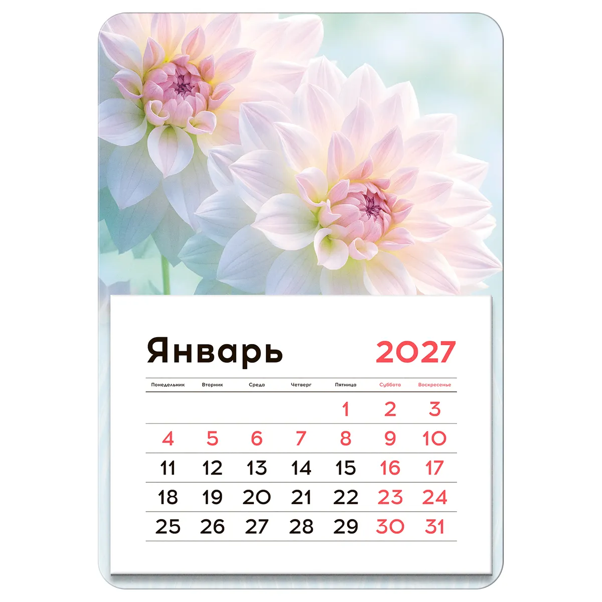 Календарь отрывной на магните, 130*180 мм, склейка BG "Цветы", 2027г.