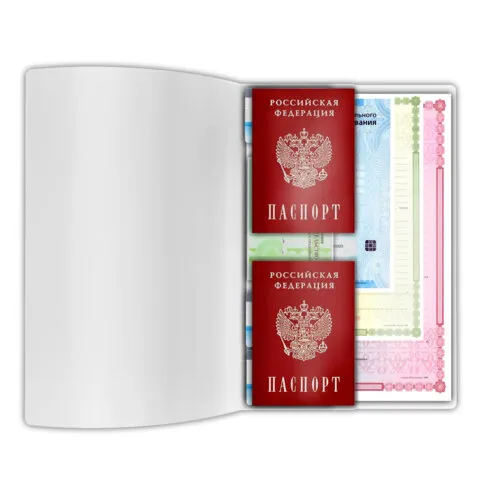 Папка-органайзер, обложка семейная для 2-х комплектов документов, А4, ПВХ, матовая, STAFF, 238873