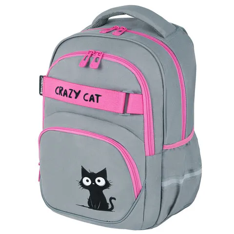 Рюкзак BRAUBERG MOTION, 2 отделения, 3 кармана, "Crazy cat", 41х28х17 см, 273115