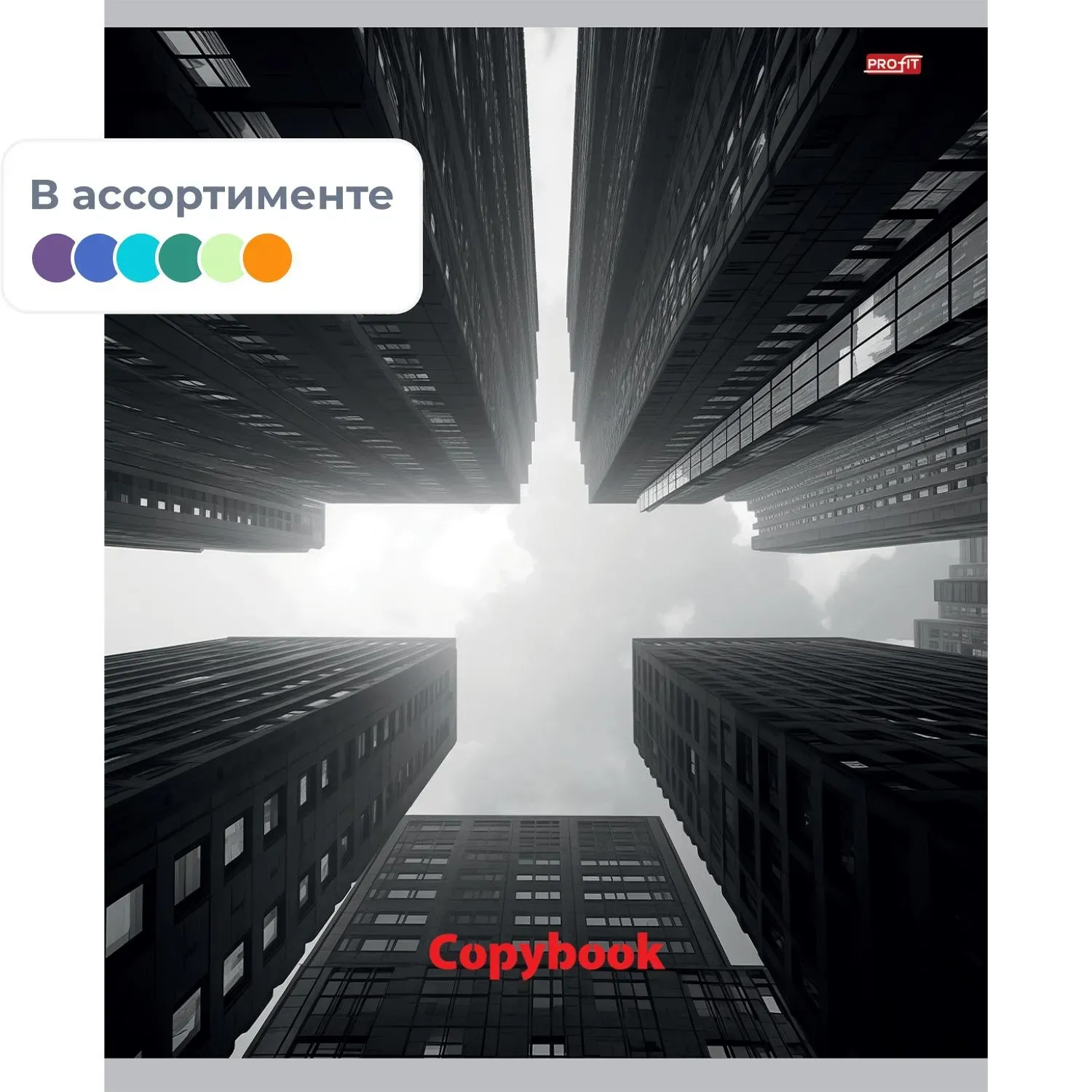 Тетрадь клетка 48Л. А5 МЕГАПОЛИС В ЧЁРНО-БЕЛОМ, цвет.мелов.обл,асс,48-5748