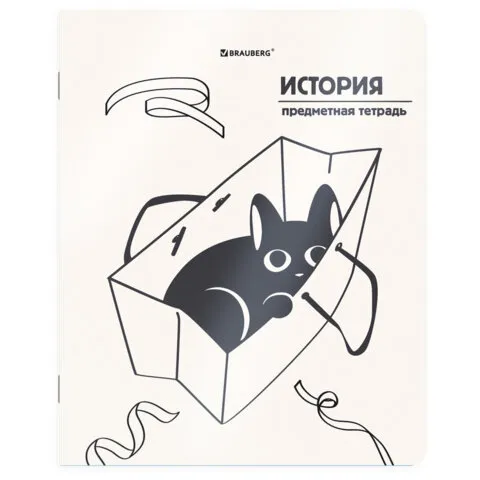 Тетрадь предметная КОТ-НЕПОСЕДА 48 л., пластиковая обложка, ИСТОРИЯ, клетка, подсказ, BRAUBERG, 405534