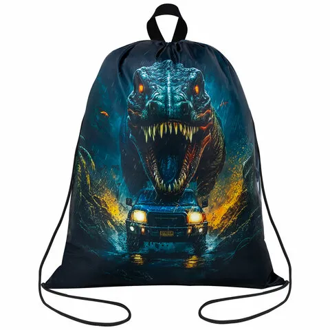 Мешок для обуви BRAUBERG KIDS, с петлей, 42х34 см, "Dino chase", 272416