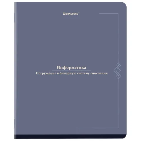 Тетрадь предметная VINTAGE 48 л., SoftTouch, ИНФОРМАТИКА, клетка, подсказ, BRAUBERG, 405154