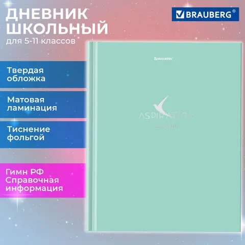 Дневник 5-11 класс 48 л., твердый, BRAUBERG, фольга, с подсказом, Aspiration, 107199