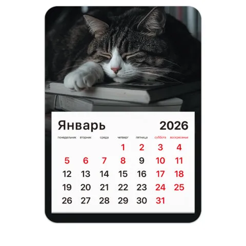 Календарь отрывной на магните на 2026 г., BRAUBERG, 130x180 мм, склейка, "Спящий кот", 117292
