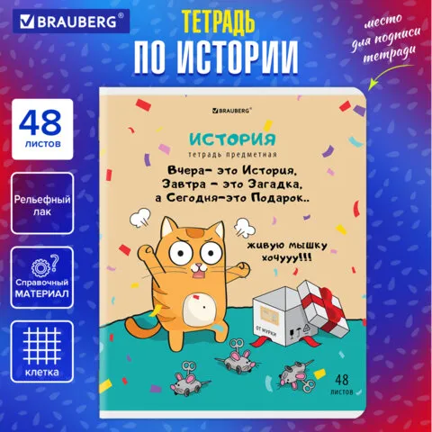 Тетрадь предметная "КОТ-ЭНТУЗИАСТ" 48л, TWIN лак, ИСТОРИЯ, клетка, BRAUBERG, 404563