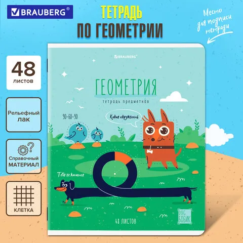 Тетрадь предметная DOG БОБИК 48л, TWIN лак, ГЕОМЕТРИЯ, клетка, подсказ, BRAUBERG, 404786, 404787