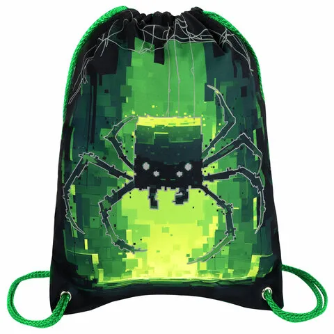 Мешок для обуви BRAUBERG PREMIUM, карман, подкладка, светоотражайка, 43х33 см, "Digital spider", 273444