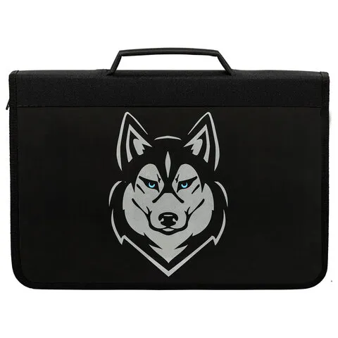Папка для труда на молнии BRAUBERG А4 с ручкой, 1 отделение, органайзер, "Husky", 271450