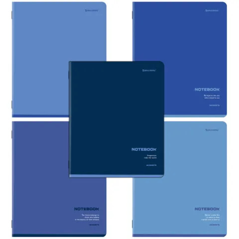 Тетради ДЭК А5 48 л. КОМПЛЕКТ 5 шт. BRAUBERG, скоба, клетка, SoftTouch, "КЛАССИКА BLUE", 404913