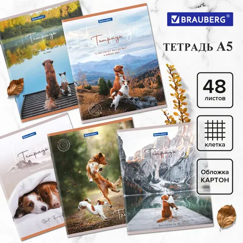 Тетрадь А5 48 л. BRAUBERG скоба, клетка, обложка картон, "Best Friends", 404360