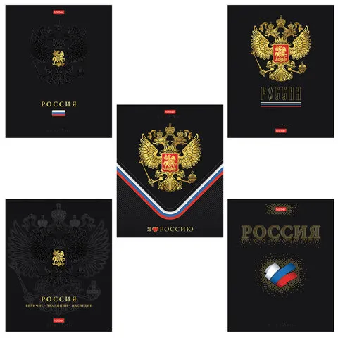 Тетрадь А5 48 л., HATBER, скоба, клетка, матовая ламинация, 3D-фольга, 3D-лак, Россия (микс), 093210, 48Т5лофлВ1