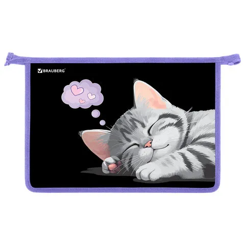 Папка для труда на молнии BRAUBERG А4, 2 отделения, органайзер, "Спящий котенок", 273401