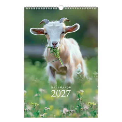 Календарь на гребне с ригелем 2027 г., 12 листов, 30x45 см, BRAUBERG, "Символ года", 118384