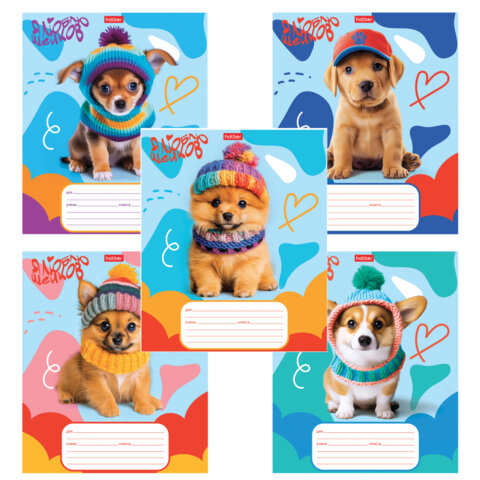 Тетрадь 12л. HATBER клетка, обложка картон, Мы-пёсики! (микс в спайке), 12Т5В1