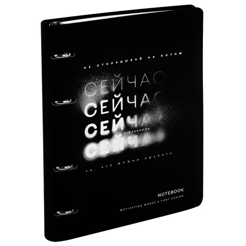 Тетрадь на кольцах А5, 175х215 мм, 120 л., под кожу, BRAUBERG VISTA, "Сейчас", 405212