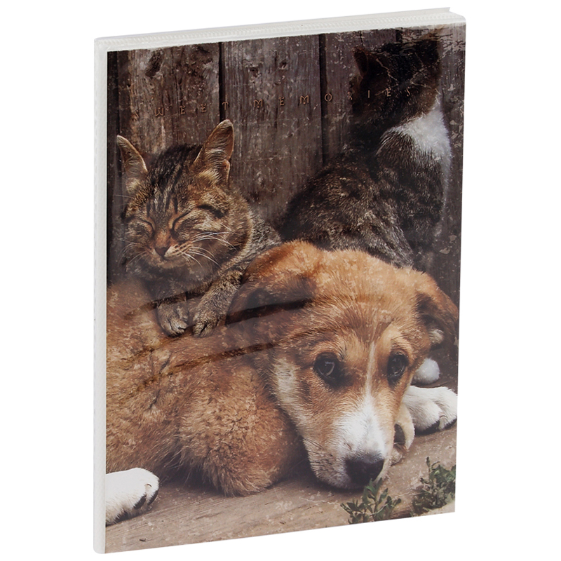 Фотоальбом 36 фото 10*15см, ArtSpace "Friends", мягкая обложка, ПП карман