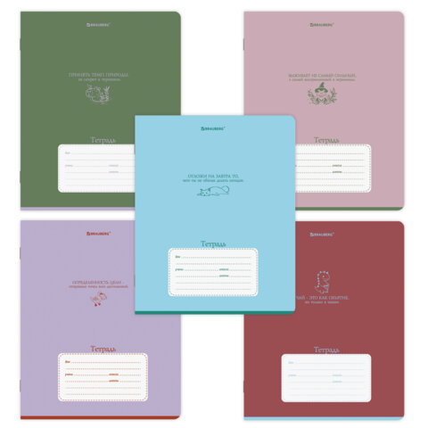 Тетрадь 18 л. BRAUBERG клетка, обложка картон, PHRASES, 107784