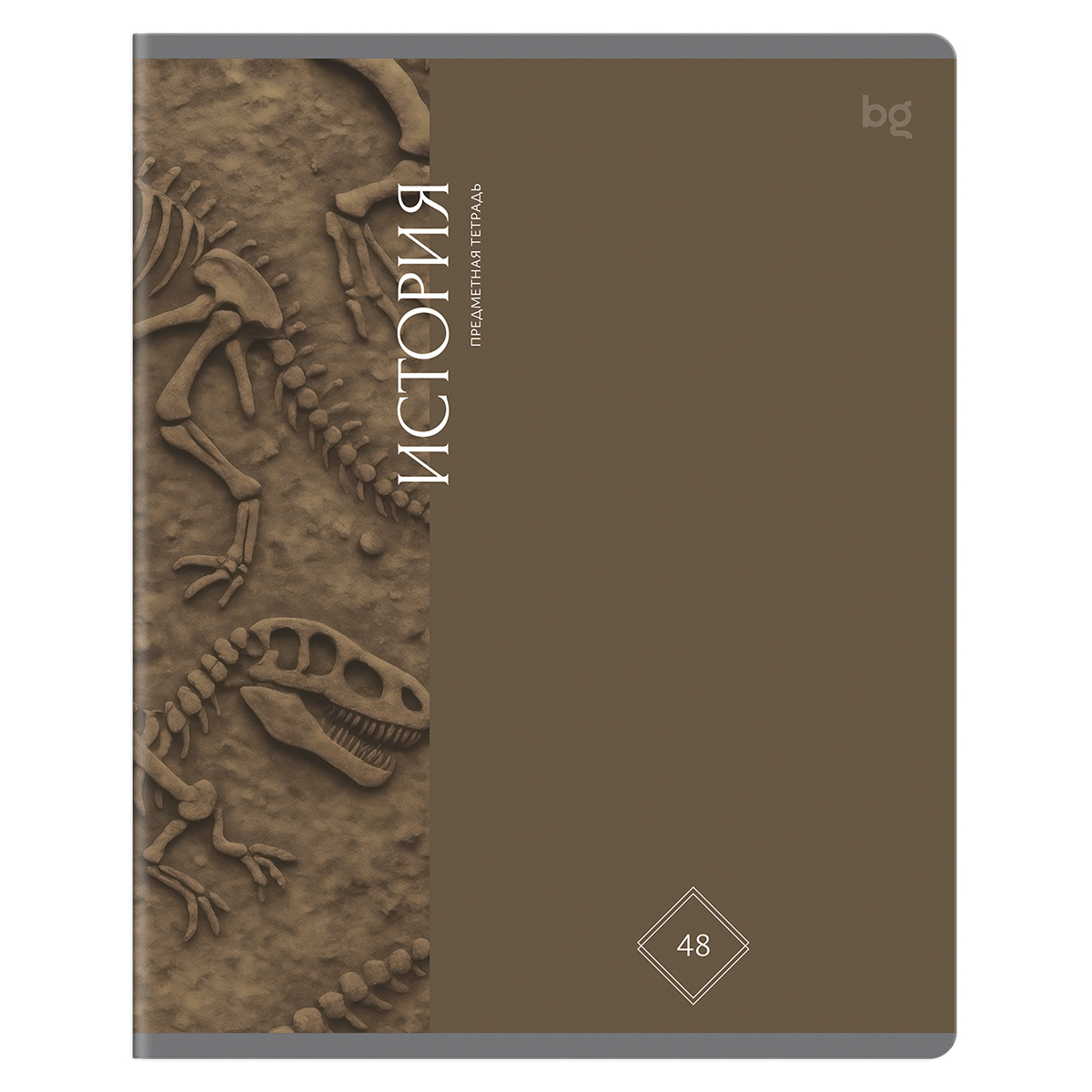 Тетрадь предметная 48л. BG "Гармония знаний" - История, soft-touch ламинация