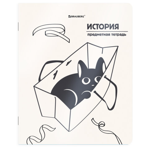 Тетрадь предметная КОТ-НЕПОСЕДА 48 л., пластиковая обложка, ИСТОРИЯ, клетка, подсказ, BRAUBERG, 405534