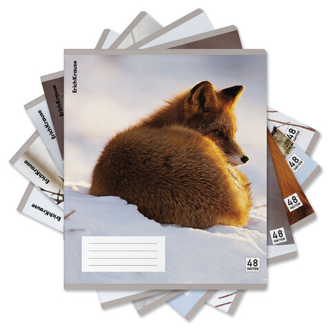 Тетрадь обложка пластик, А5, 48 л., скоба, клетка, ERICH KRAUSE, "Лисы" (микс в спайке), 60693