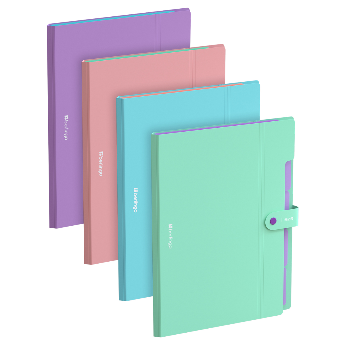 Папка 5 отделений Berlingo "Haze", А4, 600мкм, на кнопке, ассорти, софт-тач