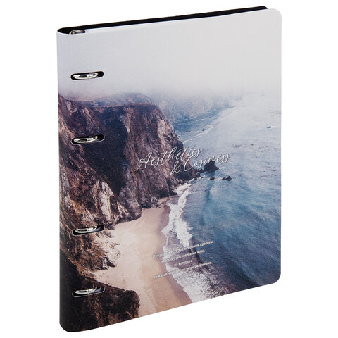 Тетрадь на кольцах А5, 175х215 мм, 120 л., под кожу, BRAUBERG VISTA, "Esthetics", 405208