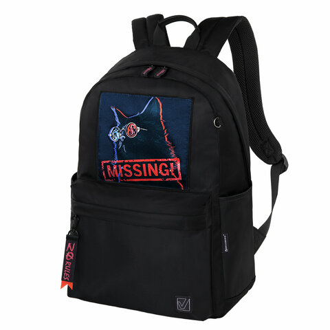Рюкзак BRAUBERG FASHION CITY универсальный, карман-антивор, "Missing cat", черный, 44х31х16 см, 271673