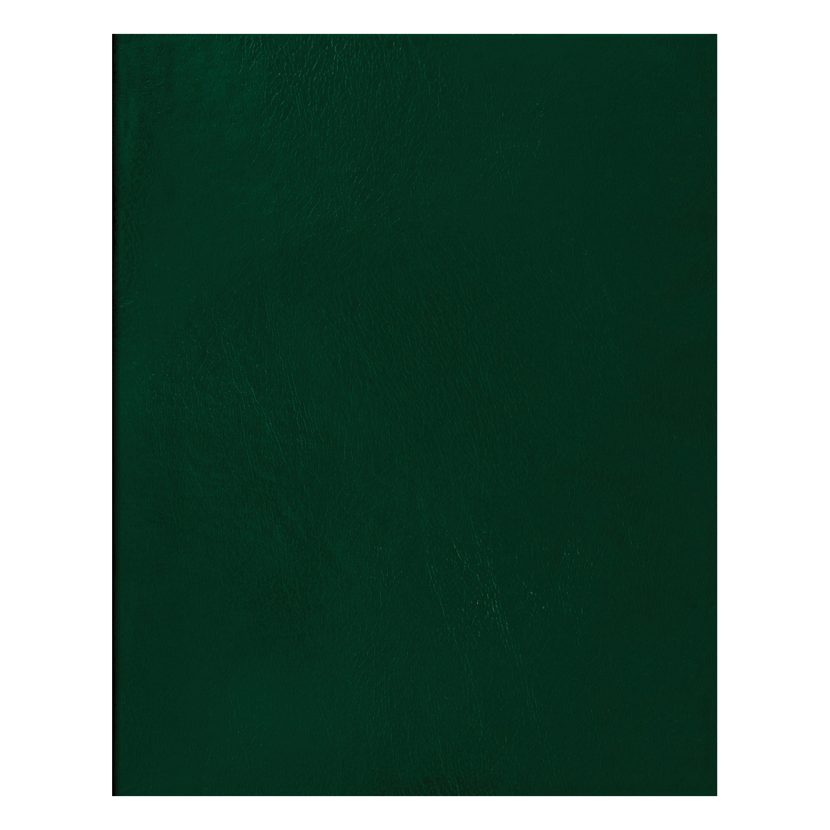 Тетрадь 96л., А5 клетка BG, бумвинил, зеленый