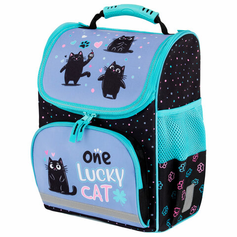 Ранец ПИФАГОР BASIC, 1 отделение, 3 кармана, эргономичная спинка, "Funny cats", 35х28х18 см, 273135