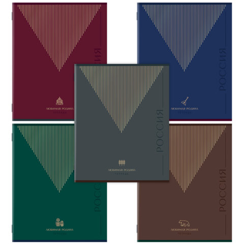 Тетрадь А5 48 л. STAFF "College" скоба, линия, офсет №2 ЭКОНОМ, обложка картон, "РОДИНА", 405629