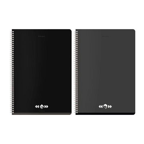 Тетради ДЭК А4 96 л. КОМПЛЕКТ 2 шт. BRAUBERG гребень, клетка, матовая ламинация, "Минимал", 404870