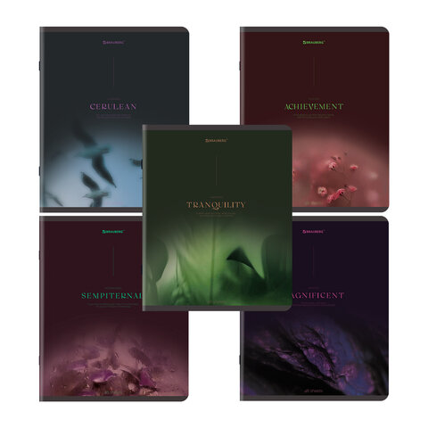 Тетради ДЭК А5 48 л. КОМПЛЕКТ 5 шт. BRAUBERG скоба, клетка, SoftTouch, "Peaceful", 404926