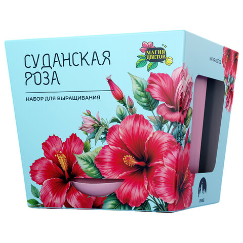 Набор для выращивания растений МАГИЯ ЦВЕТОВ, "Суданская роза", (горшок, грунт, семена, mf-022