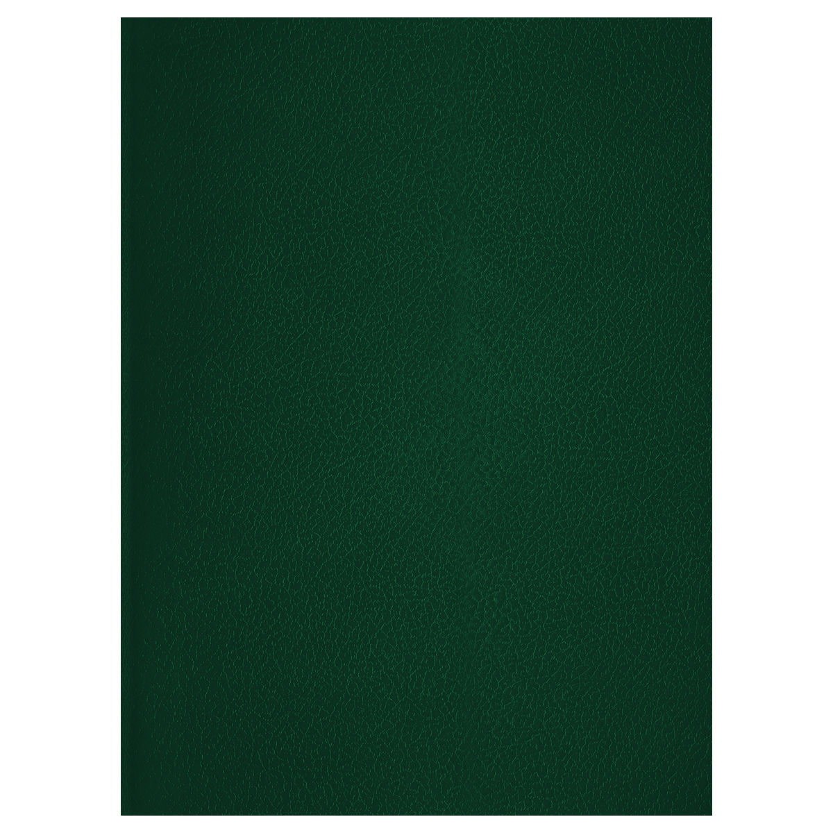 Тетрадь 48л., А4 клетка BG, бумвинил, зеленый