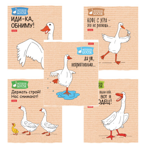 Тетрадь А5 48л. HATBER скоба, клетка, обложка картон, Гусь-веселюсь_Выпуск №2 (микс), 078789, 48Т5В1