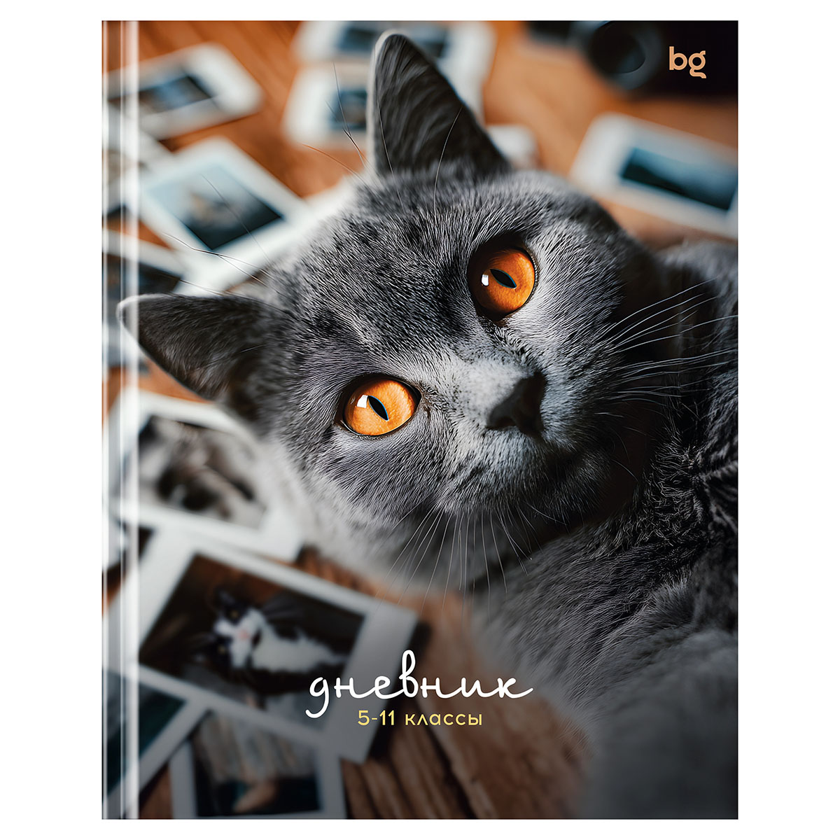 Дневник 5-11 кл. 48л. (твердый) BG "Барсик", глянцевая ламинация