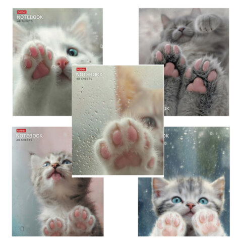 Тетрадь А5 48л. HATBER скоба, клетка, обложка картон, Розовые лапки (микс в спайке), 090370, 48Т5В1