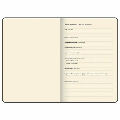 Еженедельник датированный 2025, 210х297 мм, А4, BRAUBERG "Iguana", под кожу, черный, 115947