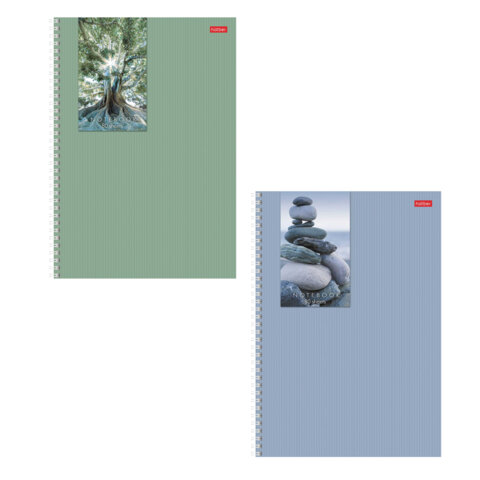 Тетрадь А4 80л. HATBER гребень, клетка, мат.лам., цвет.срез, Прикосновение к природе (микс), 086364, 80Т4лВ1гр