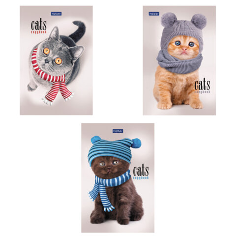 Блокнот МАЛЫЙ ФОРМАТ А6 40л, склейка, мел. бумага, клетка, глянц. лам, HATBER, Кототерапия, 057230, 40Б6лA1к