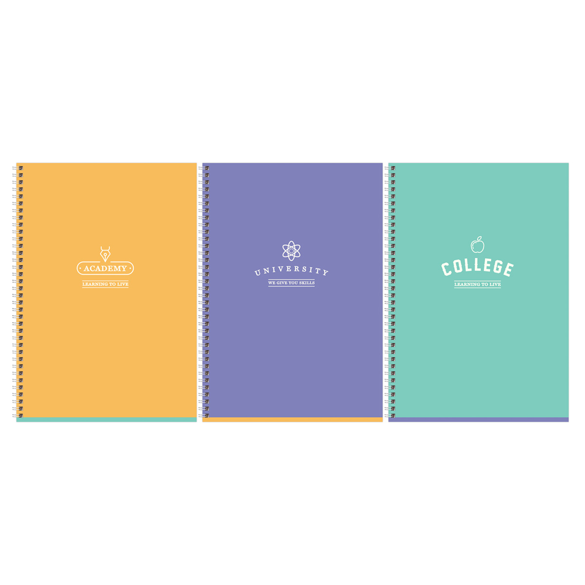 Тетрадь 80л., А4, клетка, на гребне BG "Academy", soft-touch ламинация