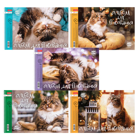 Альбом д/рис. А4 24л., спираль, обложка картон, HATBER, 198х300мм, Кот Борис (5 видов), 24А4Всп