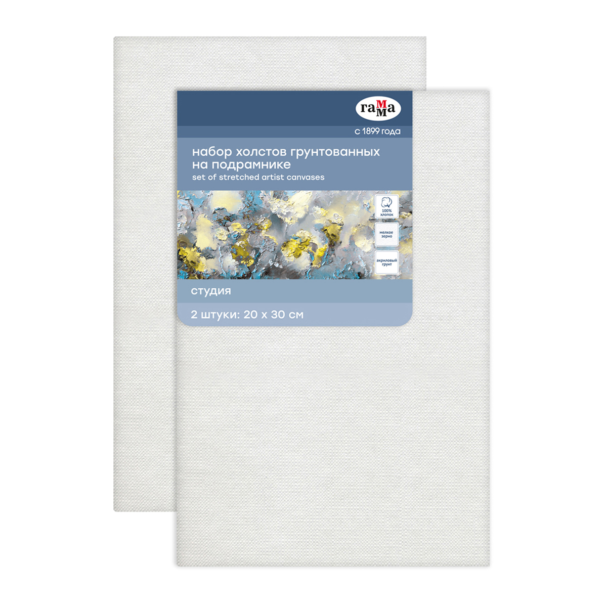 Набор холстов на подрамнике Гамма "Студия", 2шт., 20*30см, 100% хлопок, 280г/м2, мелкое зерно