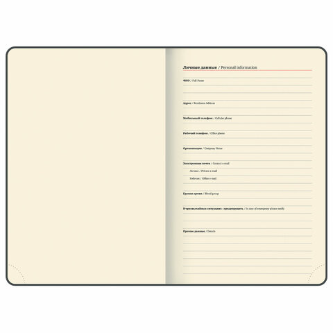 Ежедневник датированный 2025, А5, 162х218 мм, BRAUBERG "Note", под кожу, держатель для ручки, резинка-фиксатор, красный, 115932