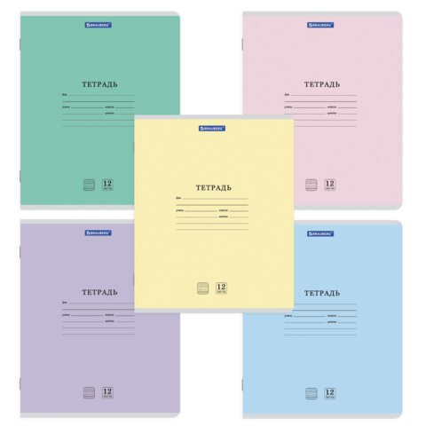 Тетради ДЭК 12 л. КОМПЛЕКТ 20 шт. BRAUBERG КЛАССИКА NEW, частая косая линия, обложка картон, АССОРТИ, 107070
