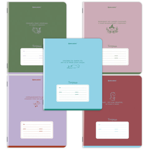 Тетрадь 12 л. BRAUBERG клетка, обложка картон, PHRASES, 107777