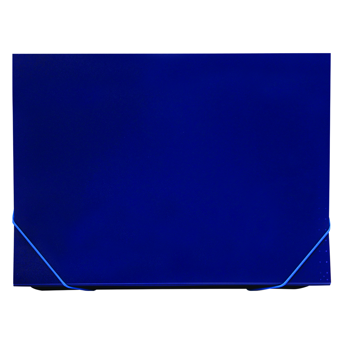 Папка 13 отделений СТАММ А4, 500мкм, на резинке, индексные разделители, пластик, черная